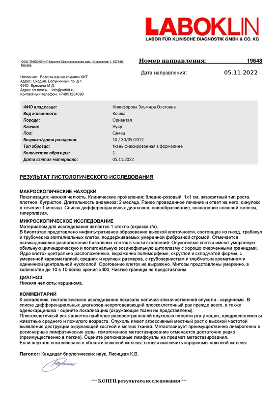 РЕЗУЛЬТАТ_ГИСТОЛОГИЧЕСКОГО_ИССЛЕДОВАНИЯ_19648_236_от_15_11_2022