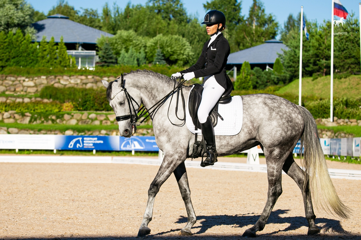 A8F33003-7C7F-4E8C-93F7-569C532651A8