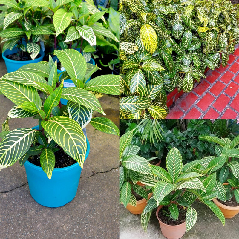 e1ca77f4 cb3d 4178 908b 707214beb5cc