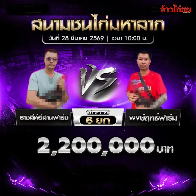 โปรแกรมไก่ชน คู่ ราชสีห์อีสานฟาร์ม พบ พงษ์ฤทธิ์ฟาร์ม วันที่ 28 มีนาคม 2569