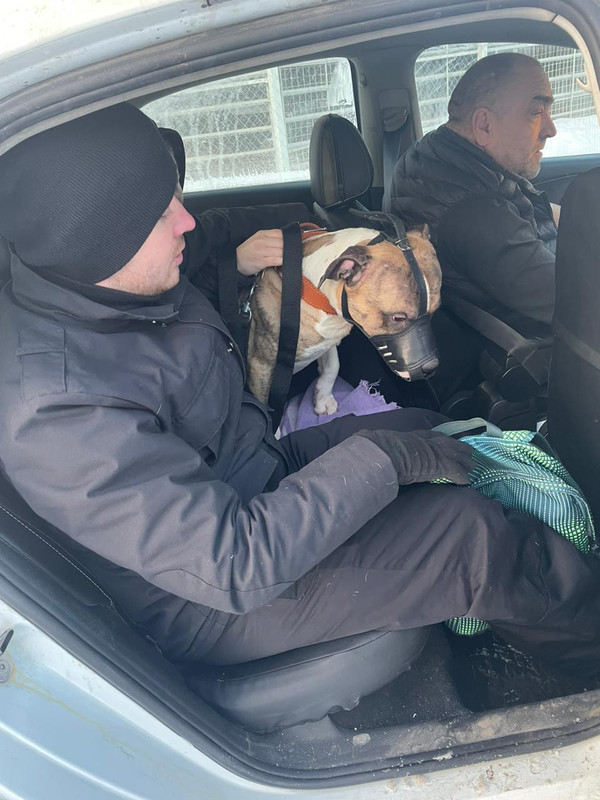 AB42CCEA-27B3-40BA-AECD-AEB0CD06F21F