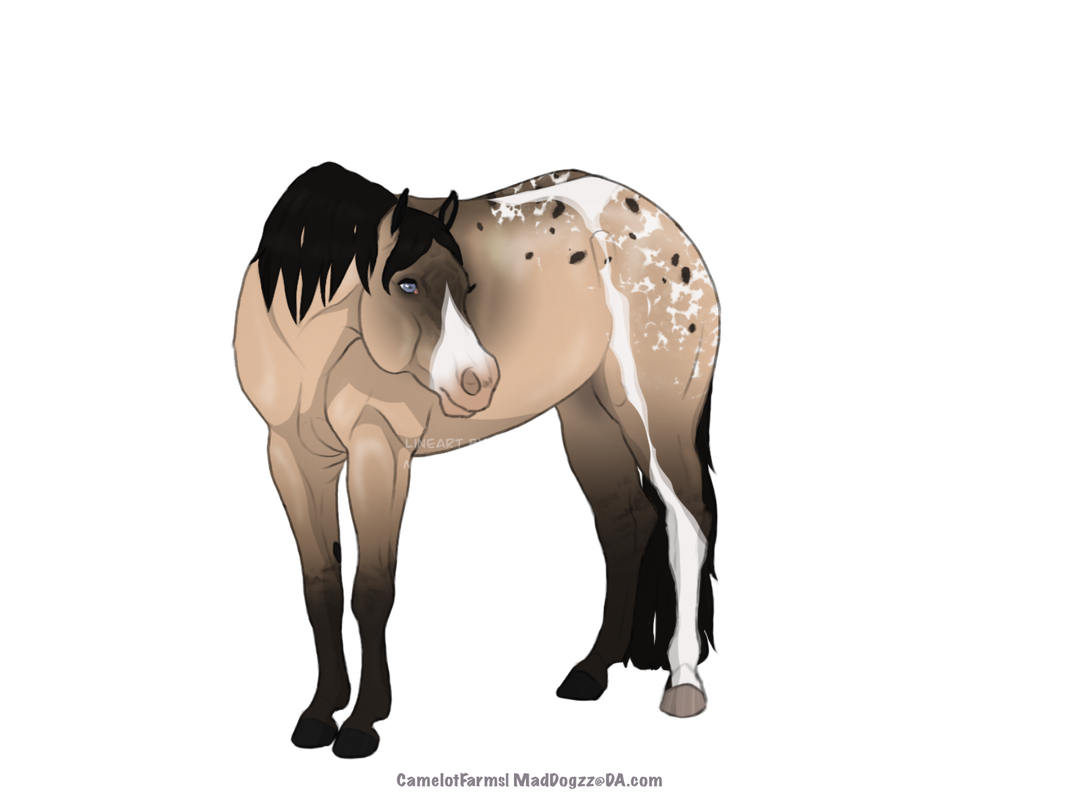 1D65131F-8C79-4078-AB24-9AC97746D223