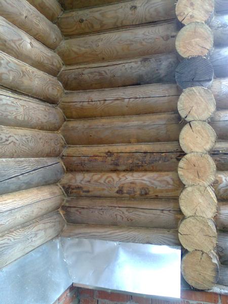 Фото0920 (450 x 600)