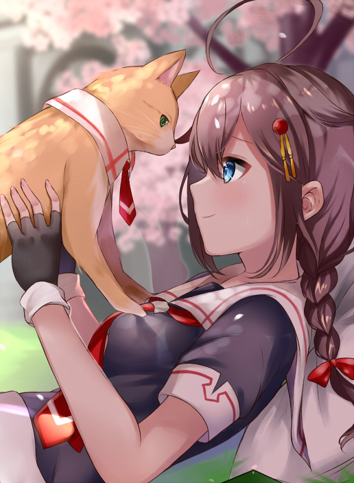 shigure-kantai-collection