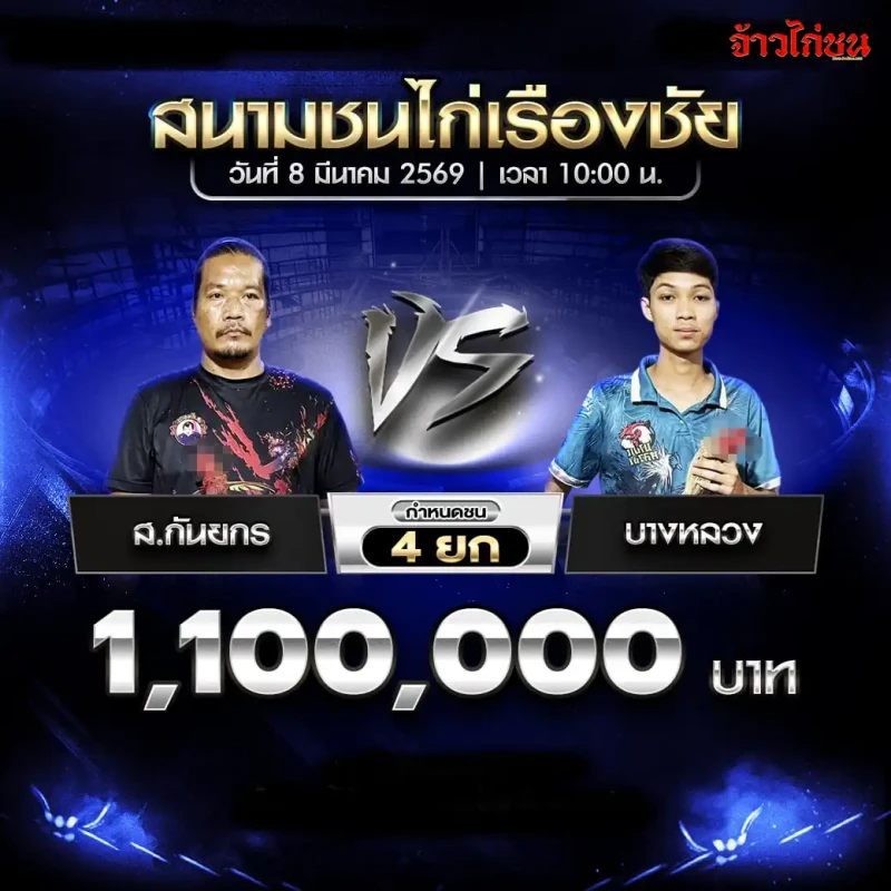 โปรแกรมไก่ชน ส.กันยกร vs บางหลวง สนามชนไก่เรืองชัย 8 มีนาคม 2569