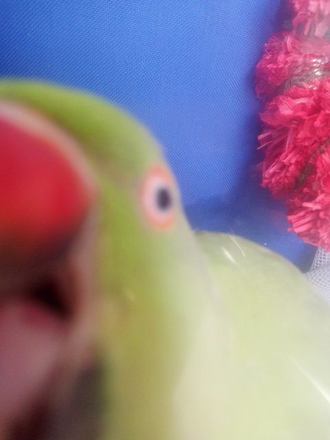 IMG-20230912-163225.jpg