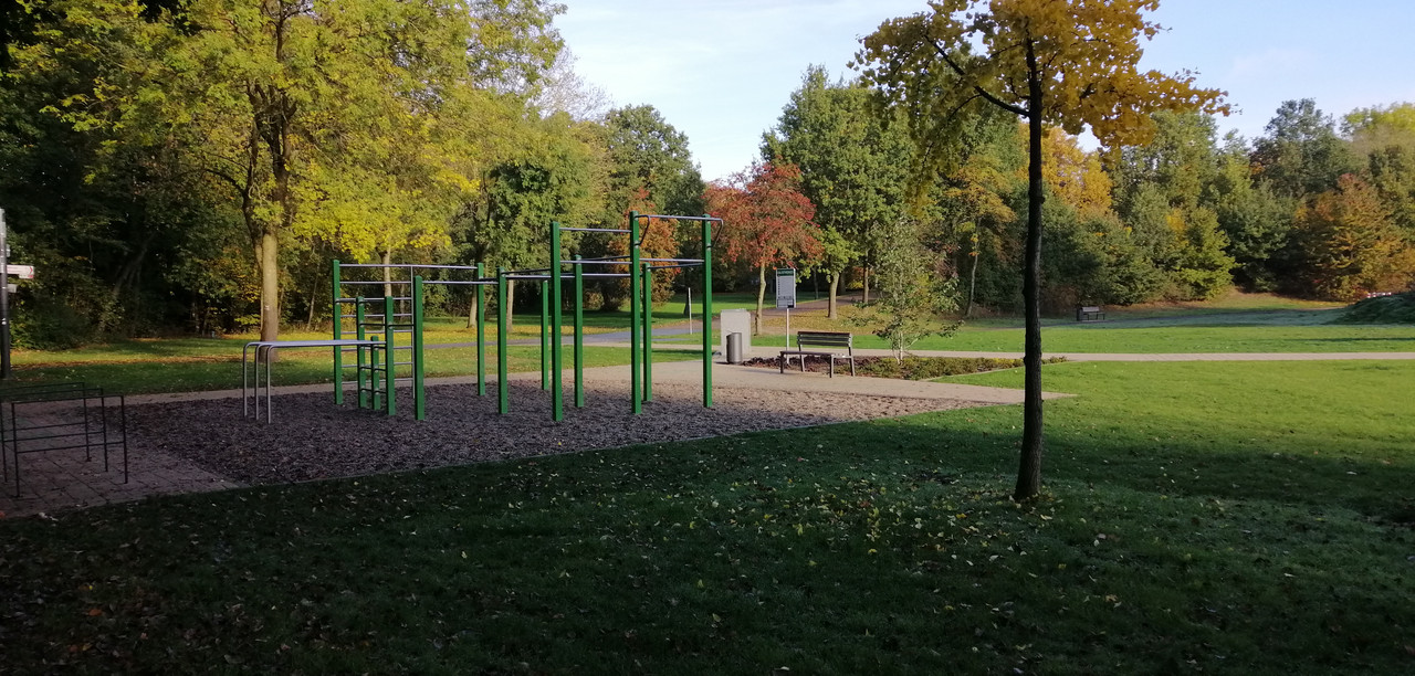 IMG-20221022-103249.jpg