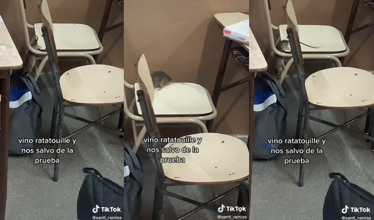 Video viral de Tiktok muestra cómo una rata salva a todos de hacer un examen