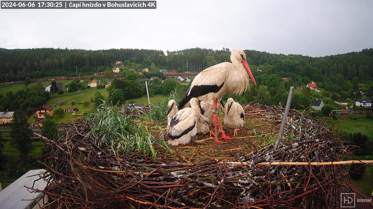 Tiešraidē no uzņēmuma KARA stārķa skursteņa Bohuslavicē pie Trutnovas 12-57-19 screenshot