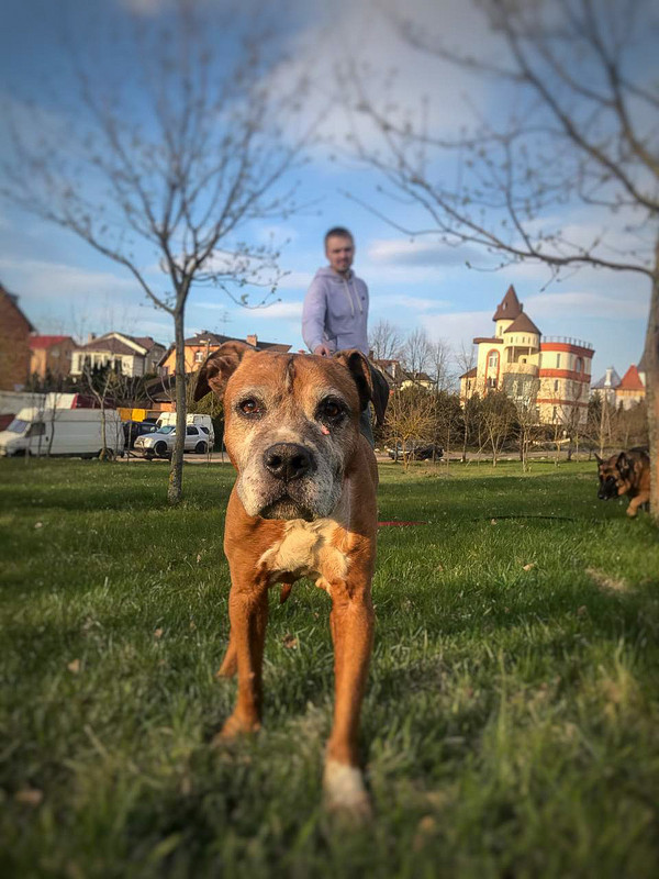 9E15A9BC-3E38-4AC3-9352-2709B57B19A9