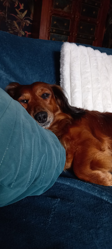 [Image: 20241203-112544.jpg]