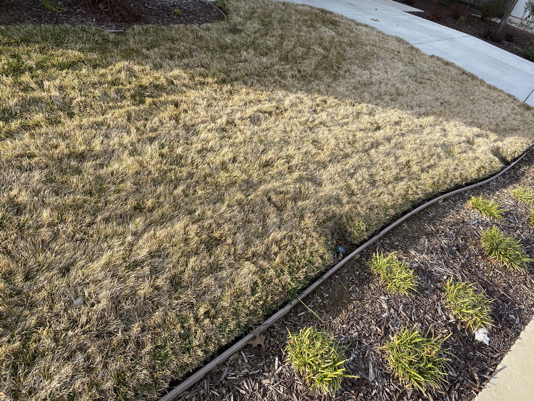 6C749C83-412A-4C76-A4D9-318585E7286E