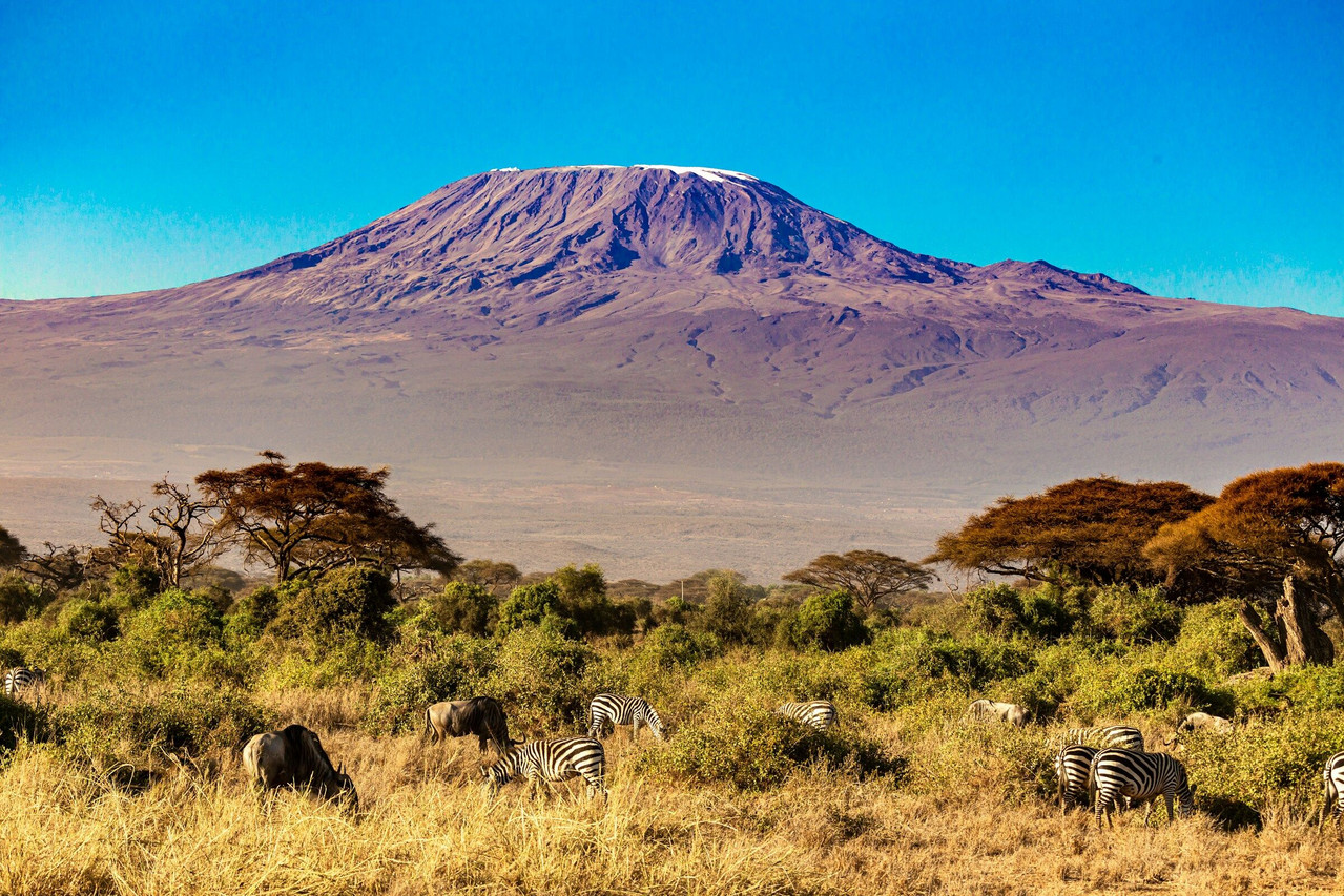 Wildlife and Mount Kilimanjaro in Amboseli