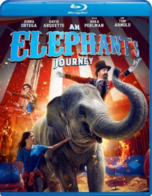 In viaggio con Flora (2019) .mkv BDRiP 1080p x264 - AC3 iTA/ENG - DTS ENG