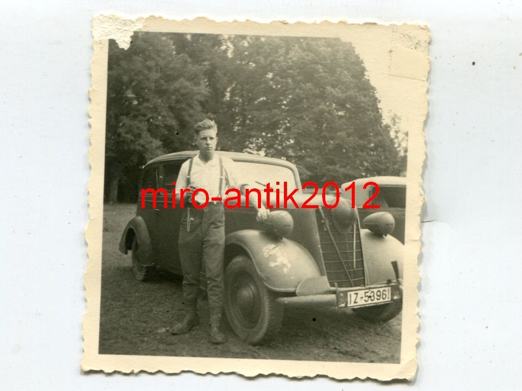 Löwe, Beute, Stahlhelm, Säbel, Frankreich