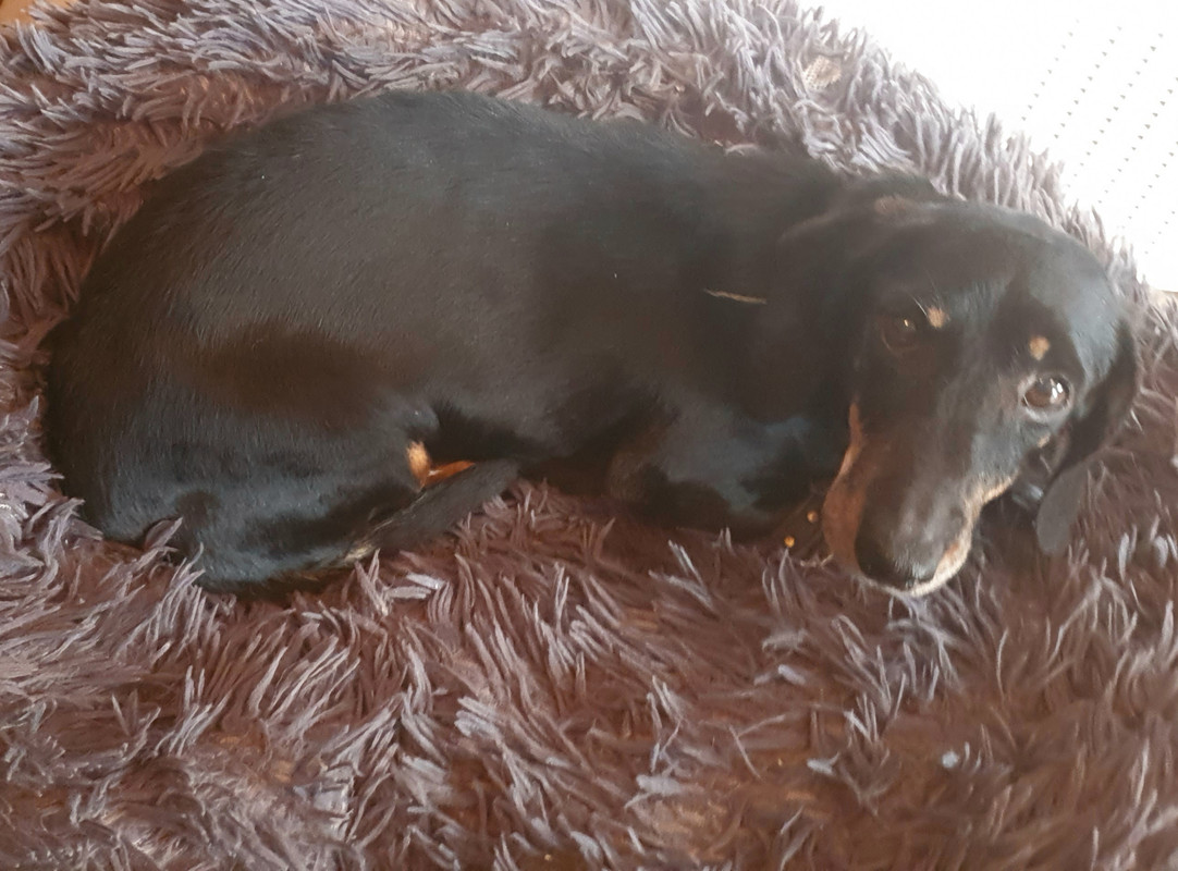 [Image: 20221030-111024.jpg]