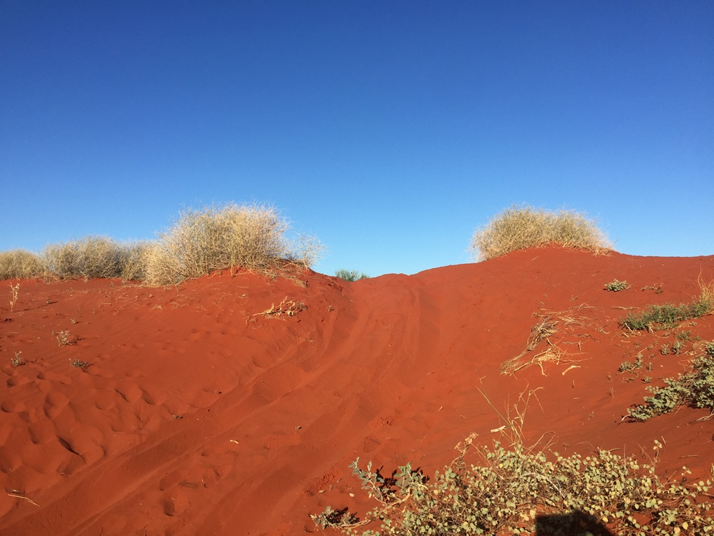 2019-Madigan-Line-Simpson-Desert-TRIP-761.jpg