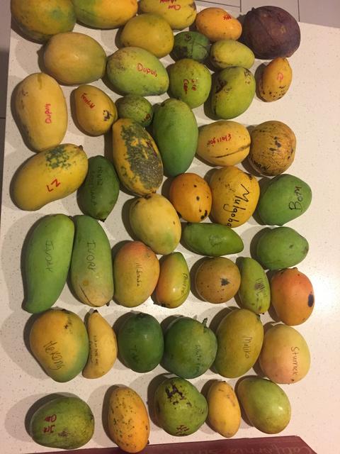 DAD81986-030F-40B3-8804-9CFDFFA21FD2