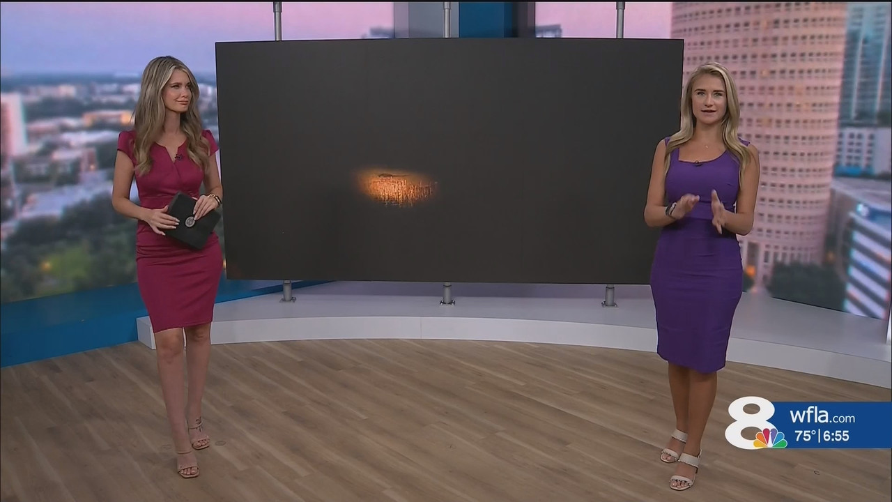NewsChannel 8 Weekend Morning Edition at 6a Saturd_20240817_11001200.ts_snapshot_00.56.42.888