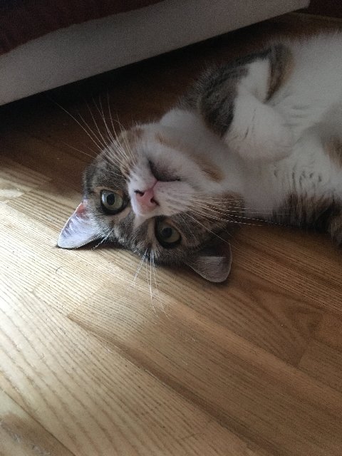 B0-F14-A30-315-A-4824-B6-AE-49-A018-ED0-