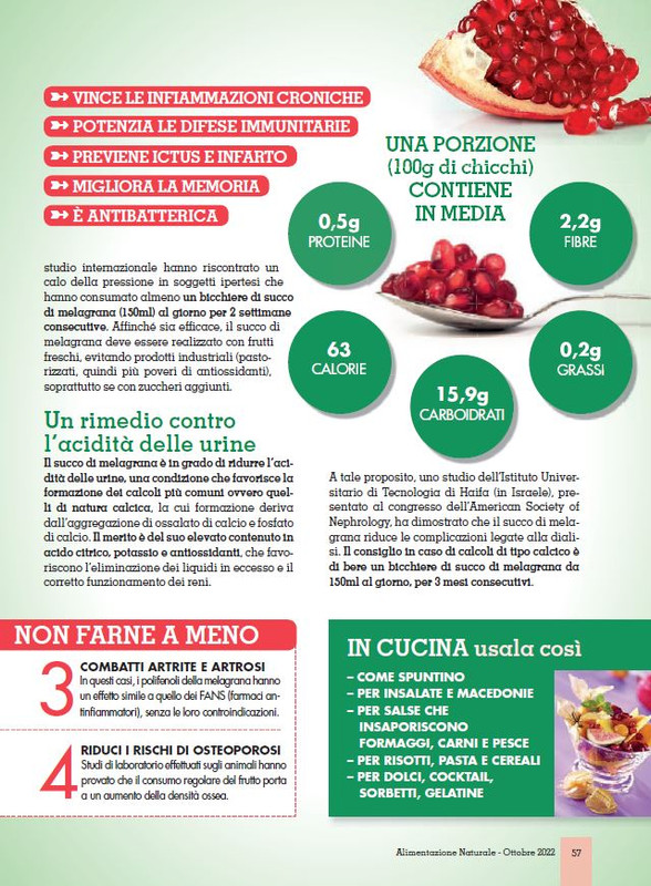 Alim Nat Ott 2022 (10)