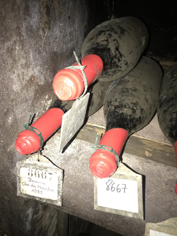 FEDECEB0-44EC-48AC-AD77-2ADC466630FA