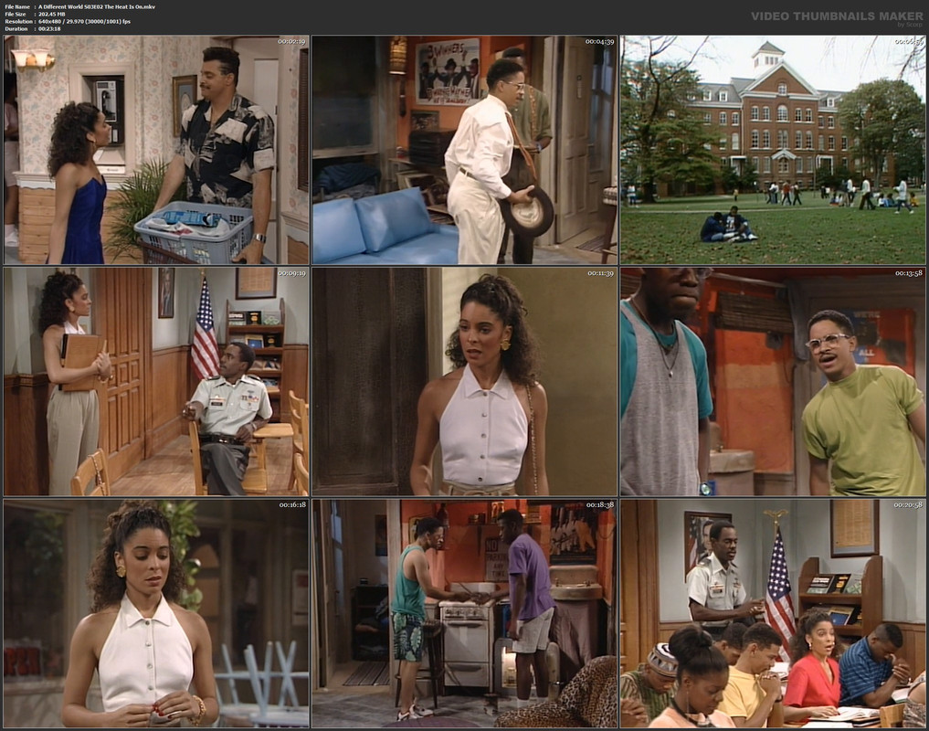 A Different World S03E02 The Heat Is On.mkv