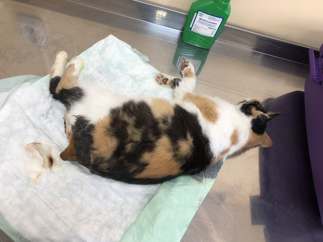 9C411592-A8F6-4C03-B604-E34E1D2AC039