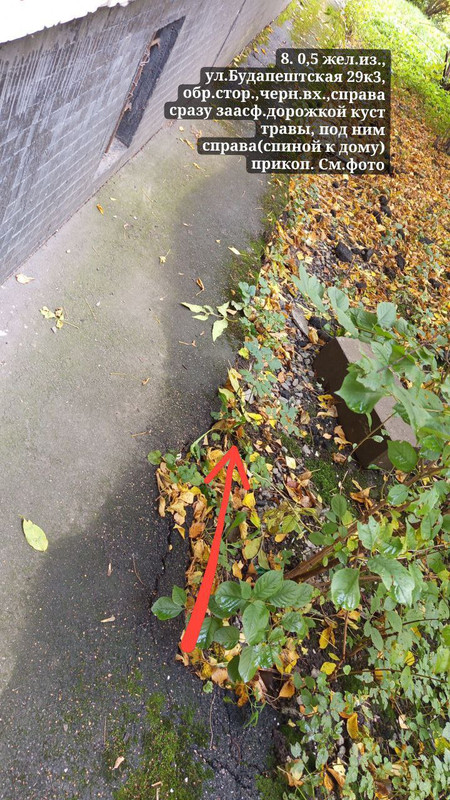 IMG_20251013_171458_391