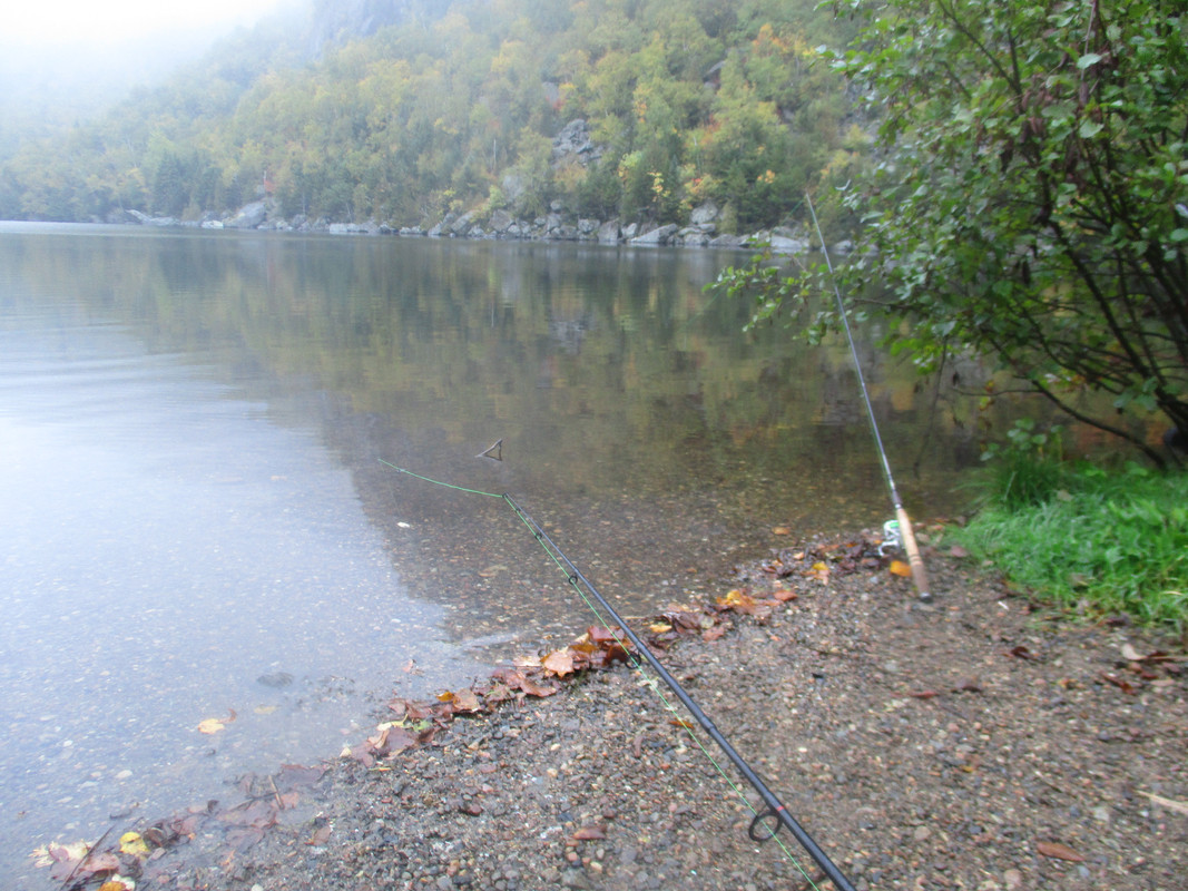 set up and trout 002