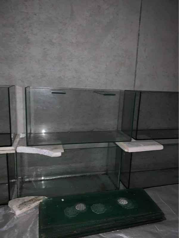 102981719_3533867783295447_8245134840523001482_o (1)