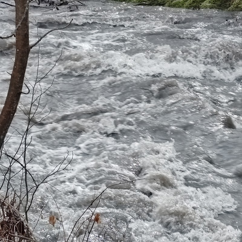 IMG-20260211- 122814bb