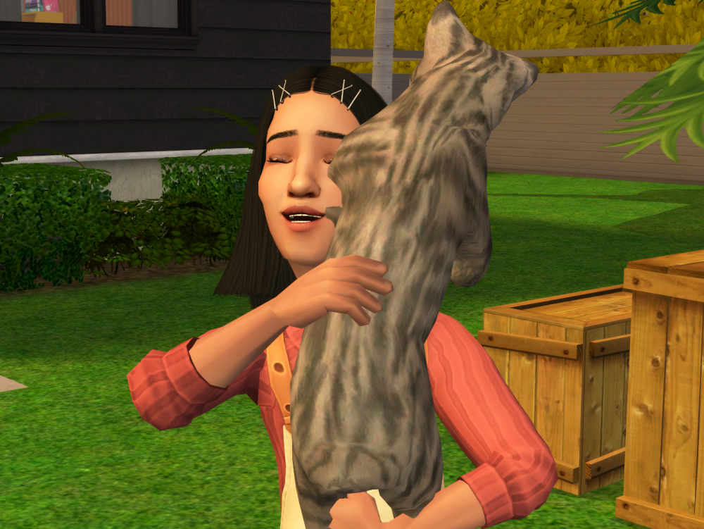 Sims2-EP9-RPC-2022-05-05-23-08-46-20