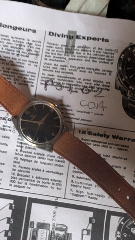 PXL 20251124 135537554