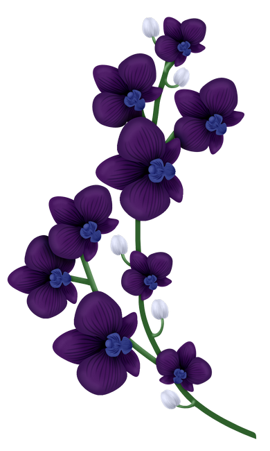 PeacockDreams_MM_Element (73)