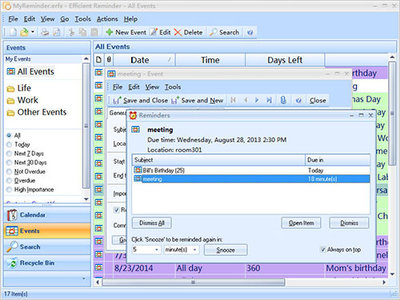 Efficient Reminder 5.60 Build 552 Multilingual Portable