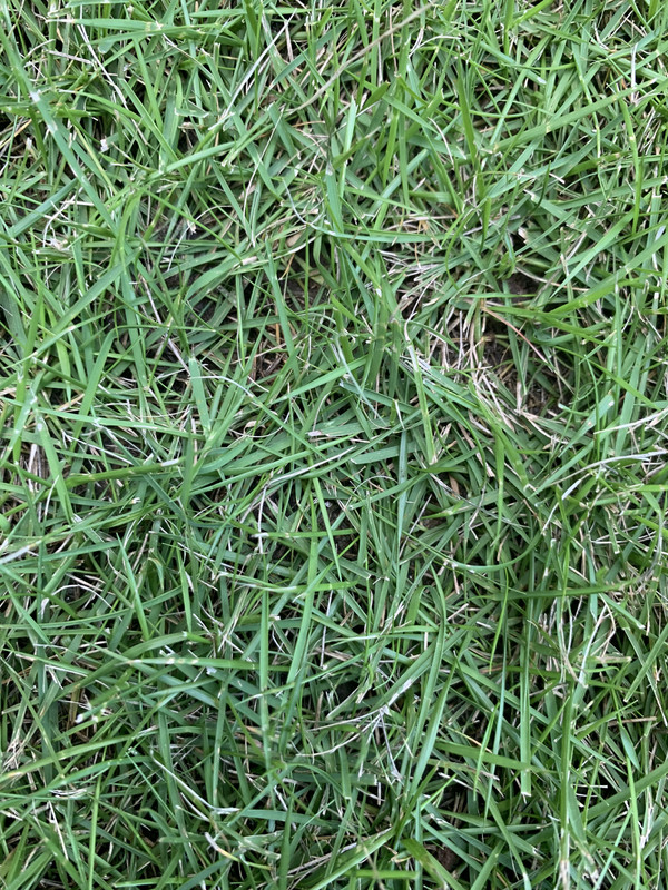 E0E6C4DD-5E7B-4FED-B0EB-8A77E512EFB2