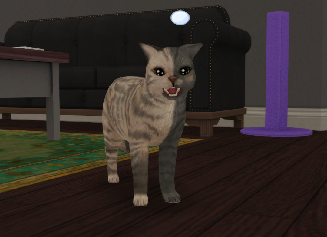 Sims2-EP9-RPC-2023-06-17-19-15-53-62