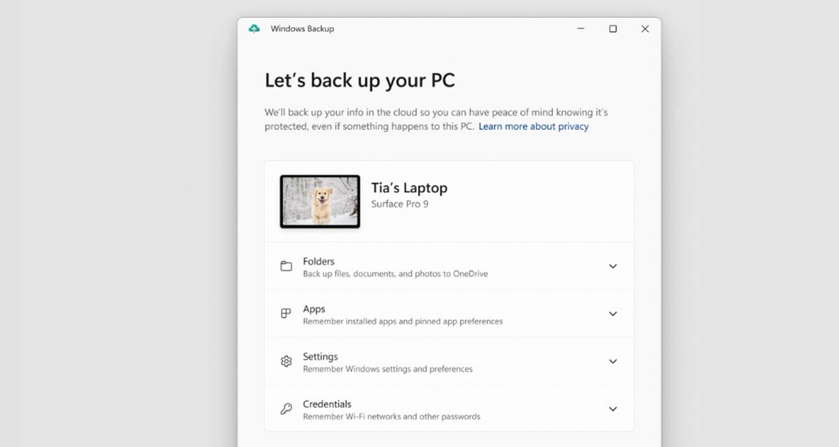 copia di sicurezza windows 11