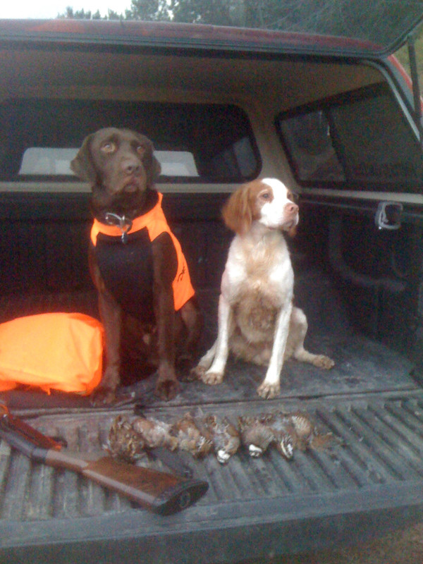 BB74A8D4-B8D8-41E4-A81C-8DA14F0BDFA9