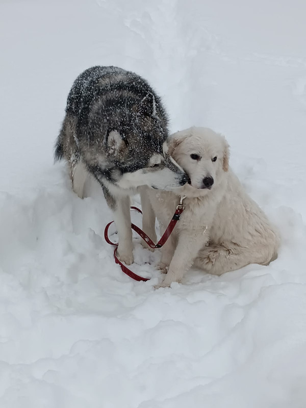 8CAA6090-6795-46F1-BA02-A2450ADE5A67