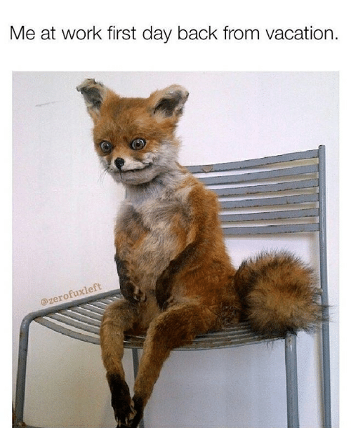 me-at-work-first-day-back-from-vacation-fuxleft-
