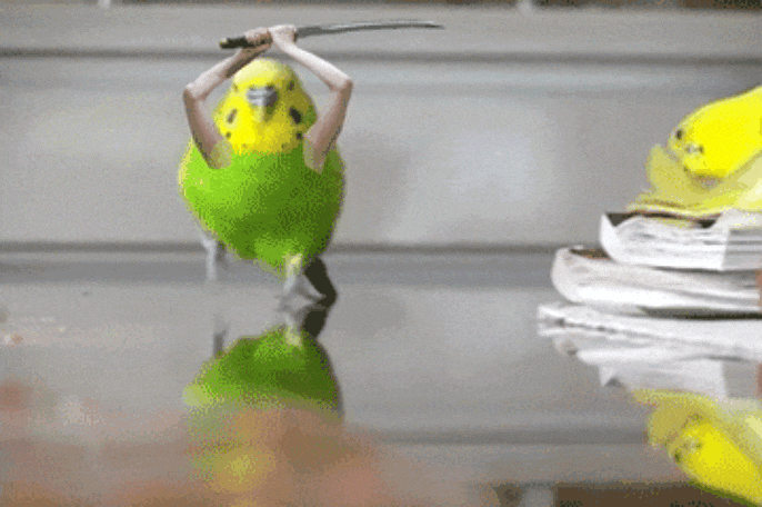 GIF-20250809-134258-802.gif