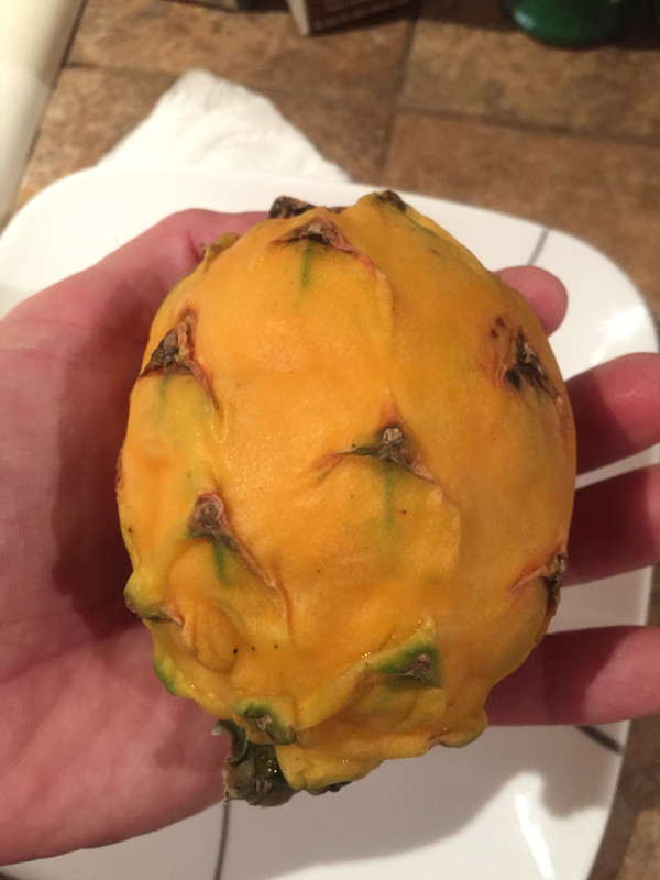 2FC3F559-23A6-425F-BBE1-175CF584FFDD