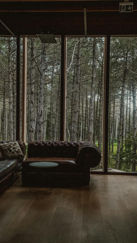 pexels-cansu-varol-350220091-14187631