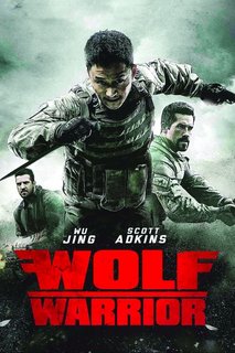 Wolf warrior (2015).mkv BDRip 576p x264 AC3 iTA-CHI