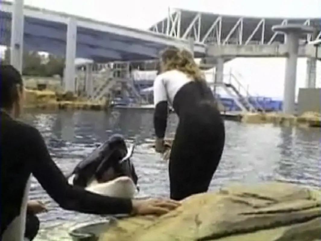 100301-seaworld-hmed-4p