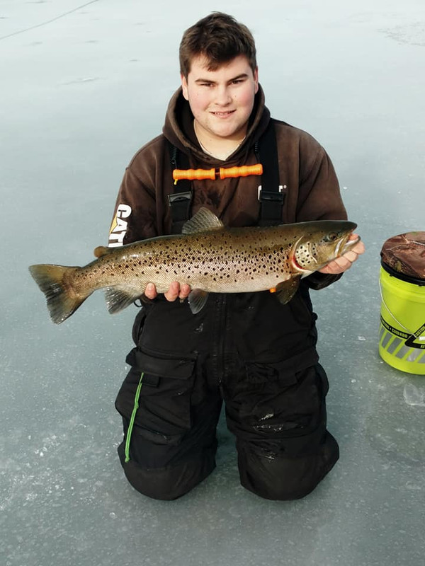 pike1229e