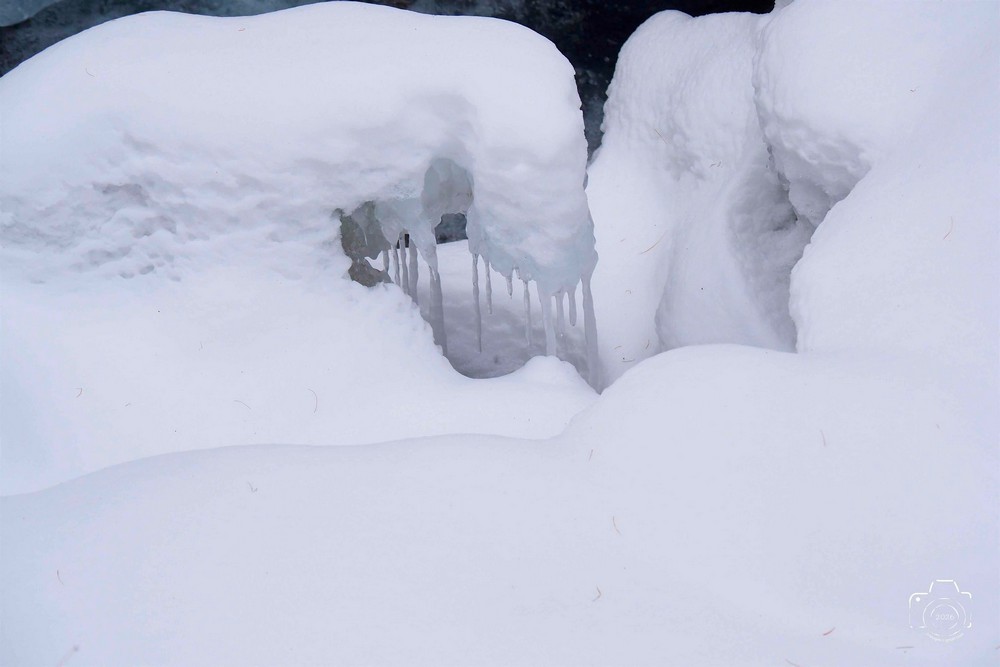 615854326-25461740446782202-216624334441800590-n