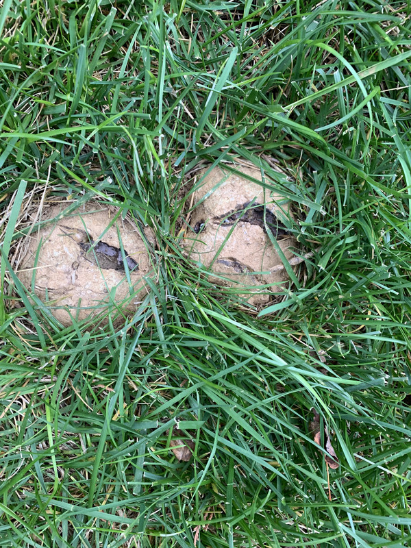 9971F5FB-9577-4BAD-BB5D-ADEC5195EF04